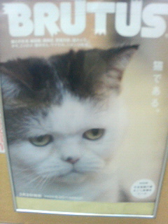 雑誌『BRUTUS』658号は猫特集?