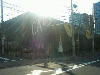 キャッツシアター@大崎・東五反田